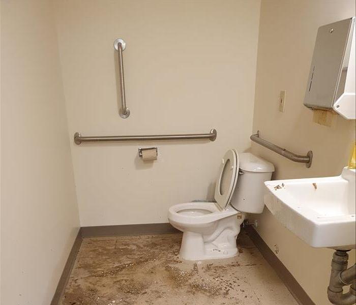 Bathroom with water and solid waste on the tile floor
