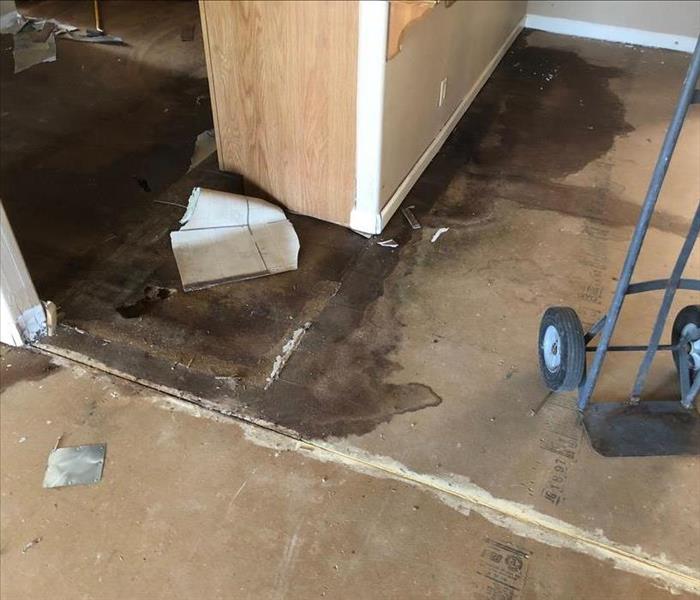 Room with subfloor showing with water on the floor