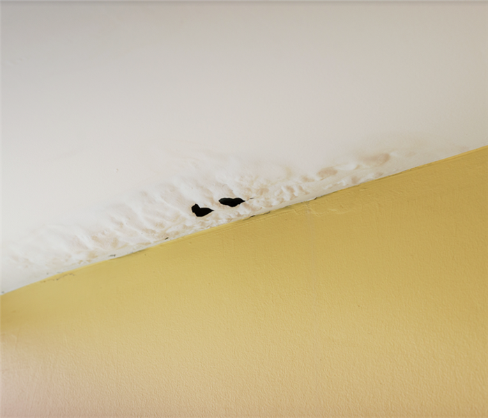 water damaged ceiling with paint chipping off from damage
