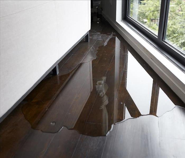 water on hardwood floor